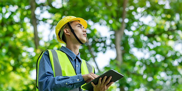 ingenieria e innovaciones para un futuro mas verde